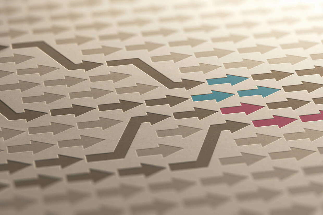 Kompetenzatlas Cover Viele braune Pfeile zeigen nach Rechts. In der Mitte sind einige dunkler eingefärbt und zeigen vier unterschiedliche Wege. Zwei dieser Wege enden jeweils in roten Pfeilen, die anderen zwei in blauen.